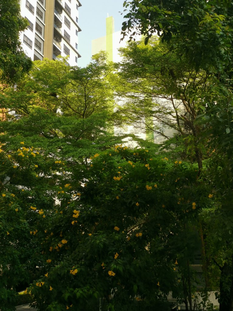 IMG_20260327_154403.jpg