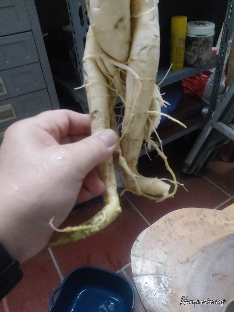 20260408_205940.jpg