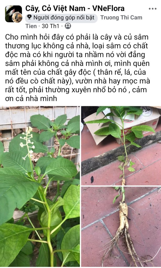 Screenshot_20260408_211307_Facebook.jpg