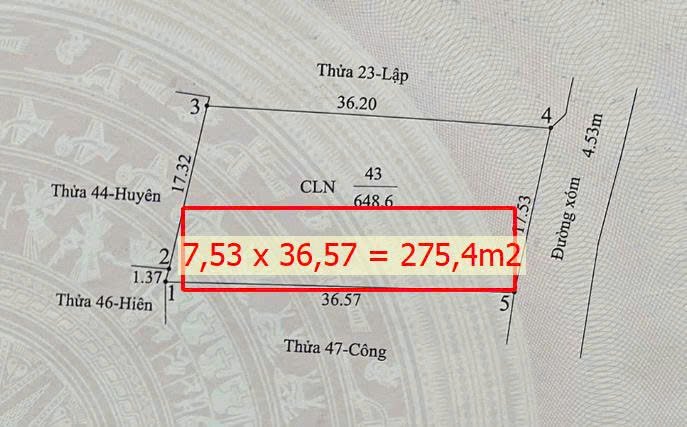 275m.jpg