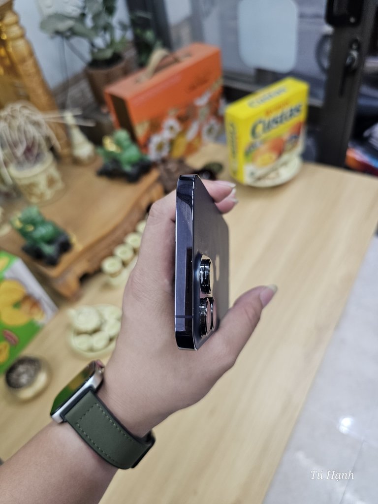 1000003882.jpg