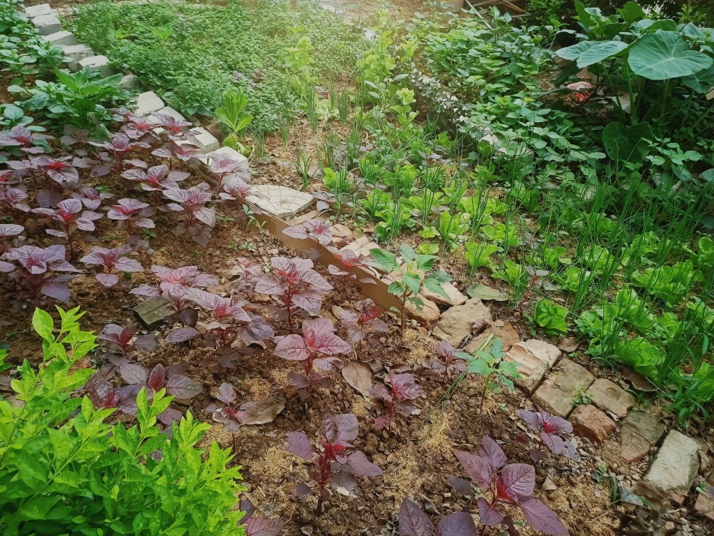 MEITU_20260410_085338323.jpg