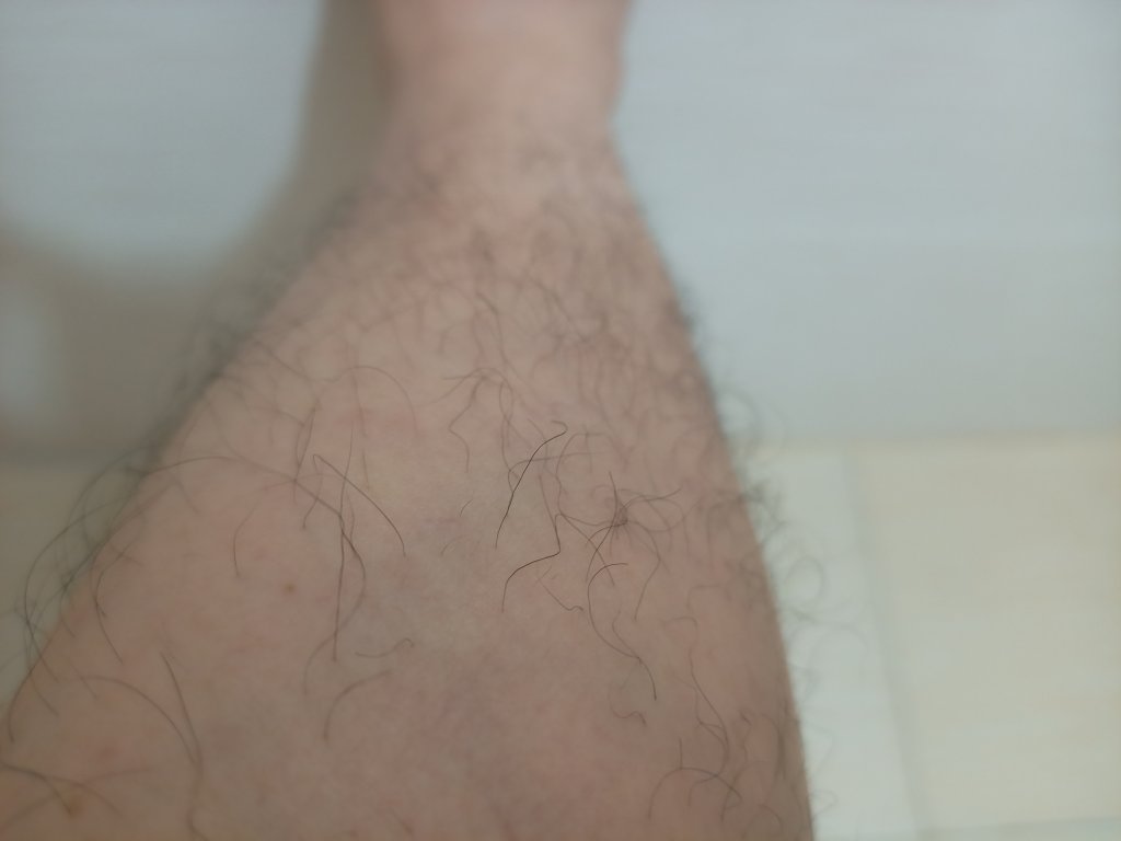 IMG20260410101212.jpg