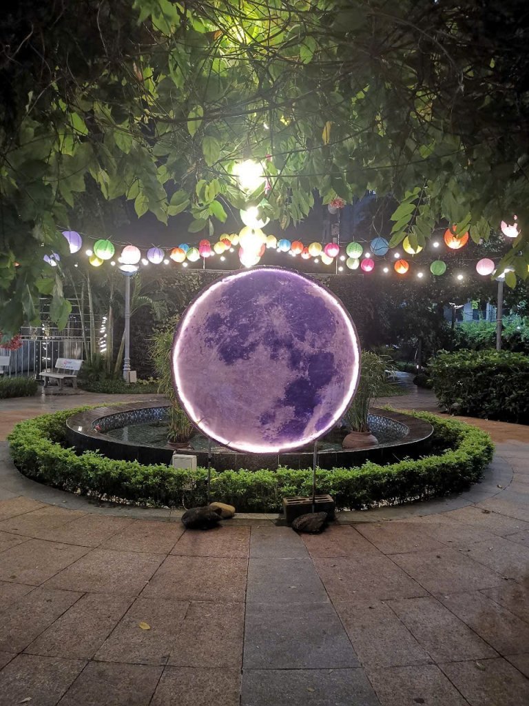 1000025700.jpg