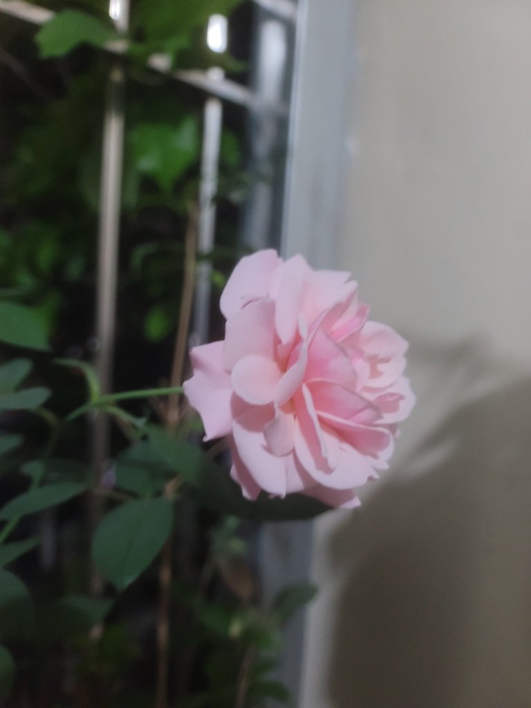 20260406_230438.jpg