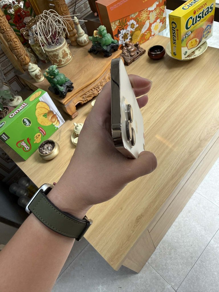 1000003913.jpg
