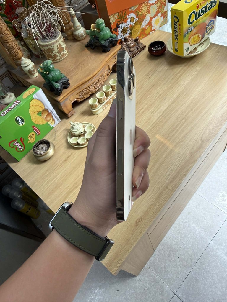 1000003915.jpg