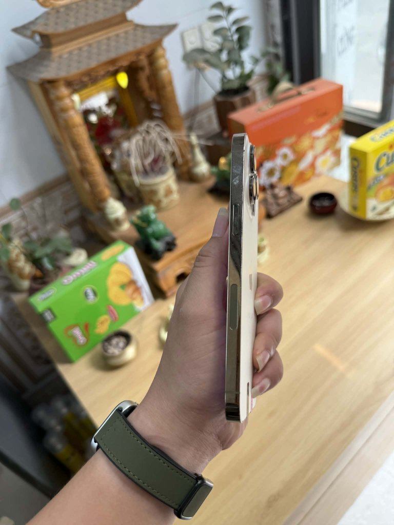 1000003916.jpg