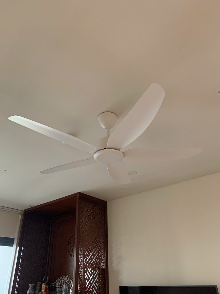 IMG_1686.jpeg