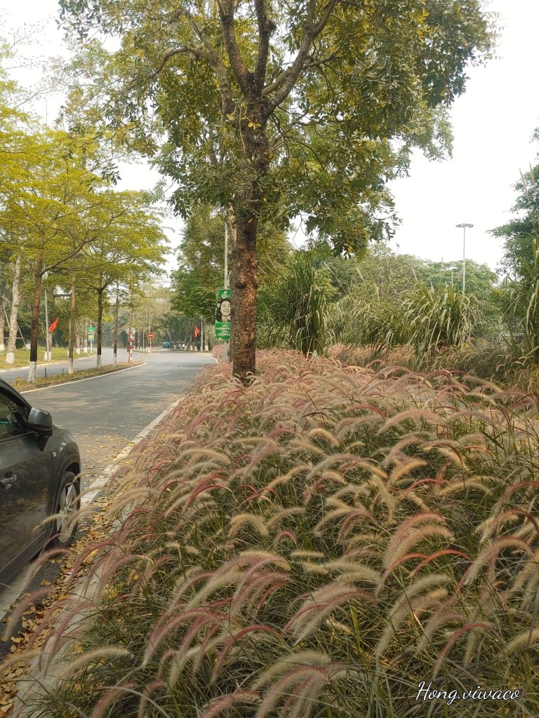 20260412_135611_HDR.jpg