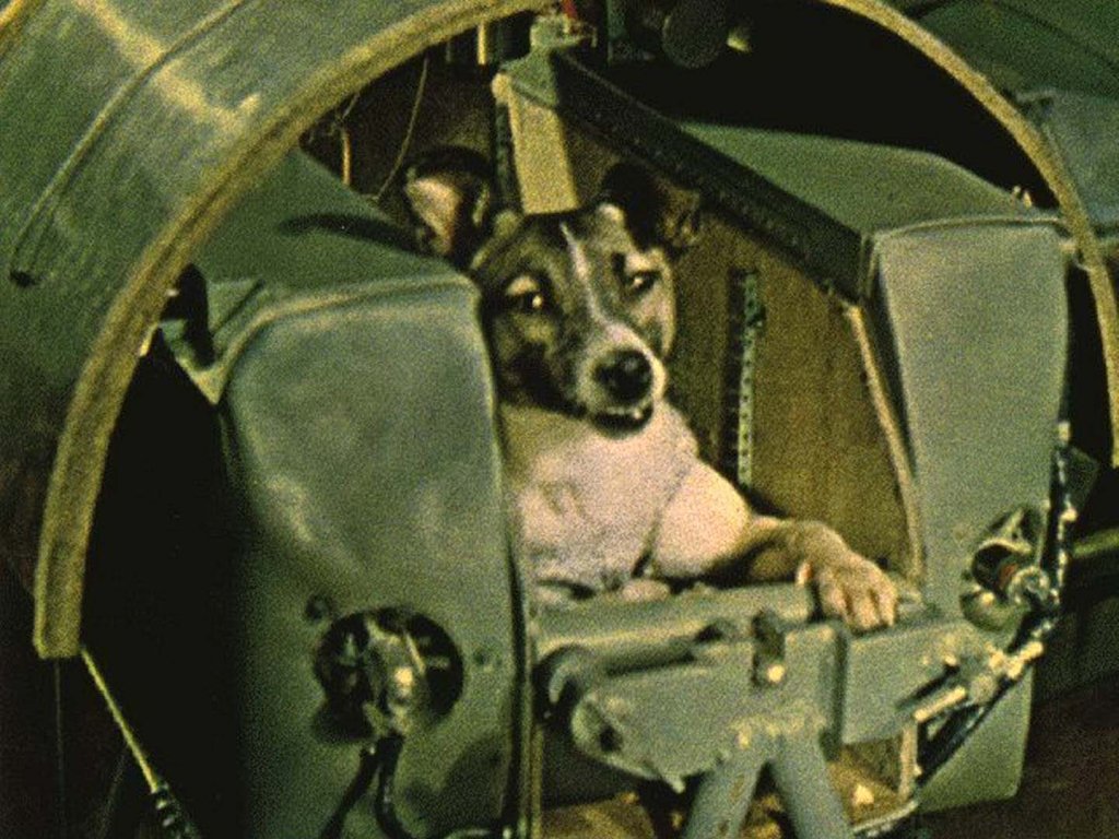 Space 1957_11_3 (3).jpg