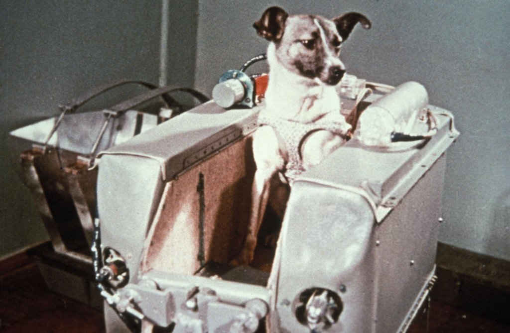 Space 1957_11_3 (10).jpg