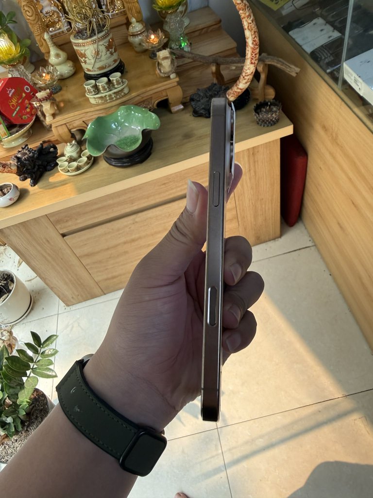 1000003959.jpg
