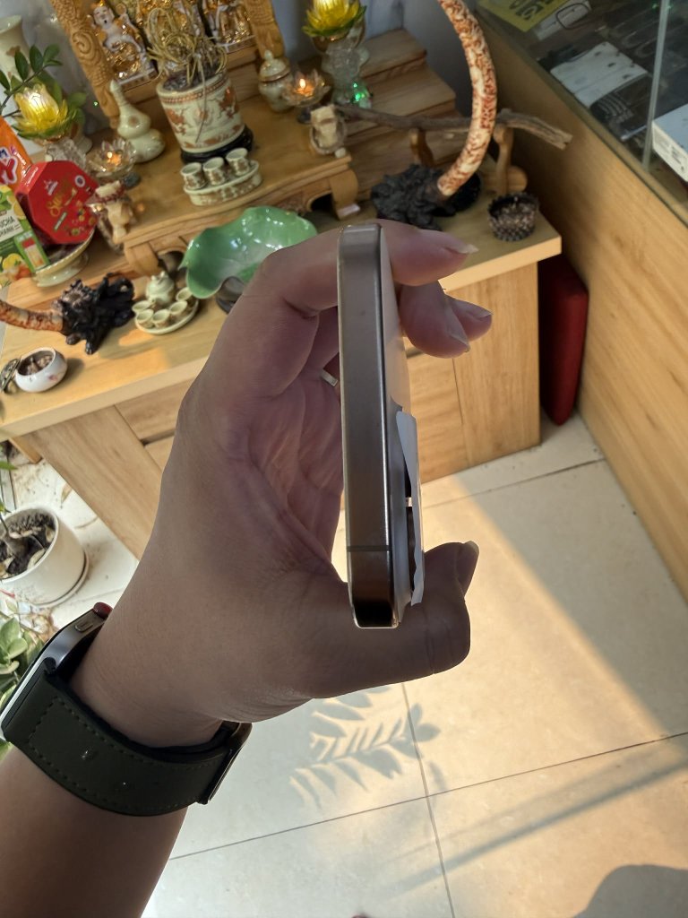 1000003964.jpg