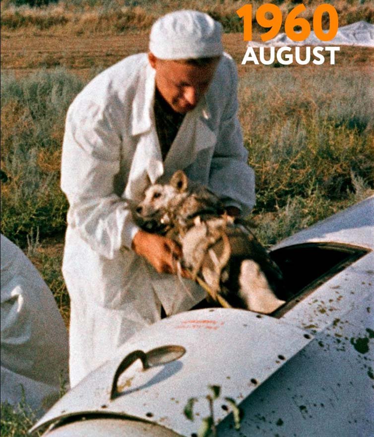 Space 1960_8_19 (1) Belka & Strelka.jpg