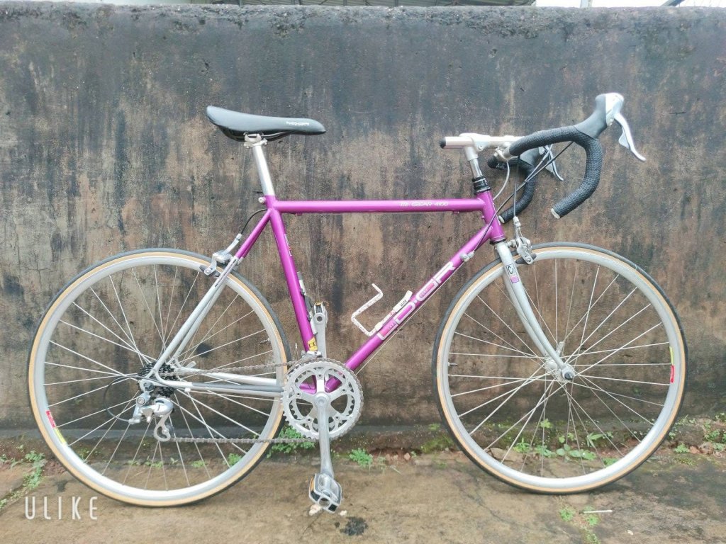 3438ED61-0283-41B6-93D8-7B83857A7156.jpeg