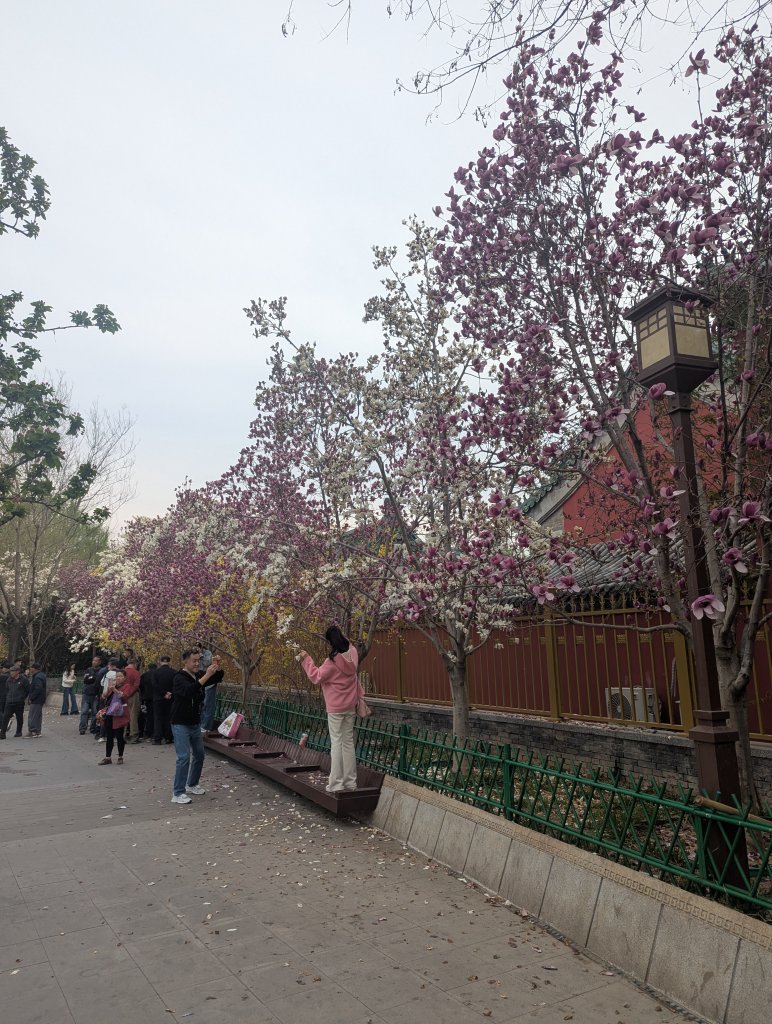 PXL_20260327_093633167.jpg