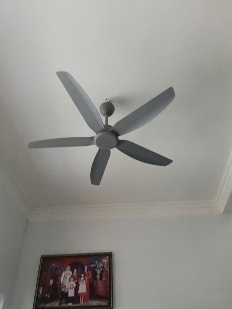 IMG_1771.jpeg