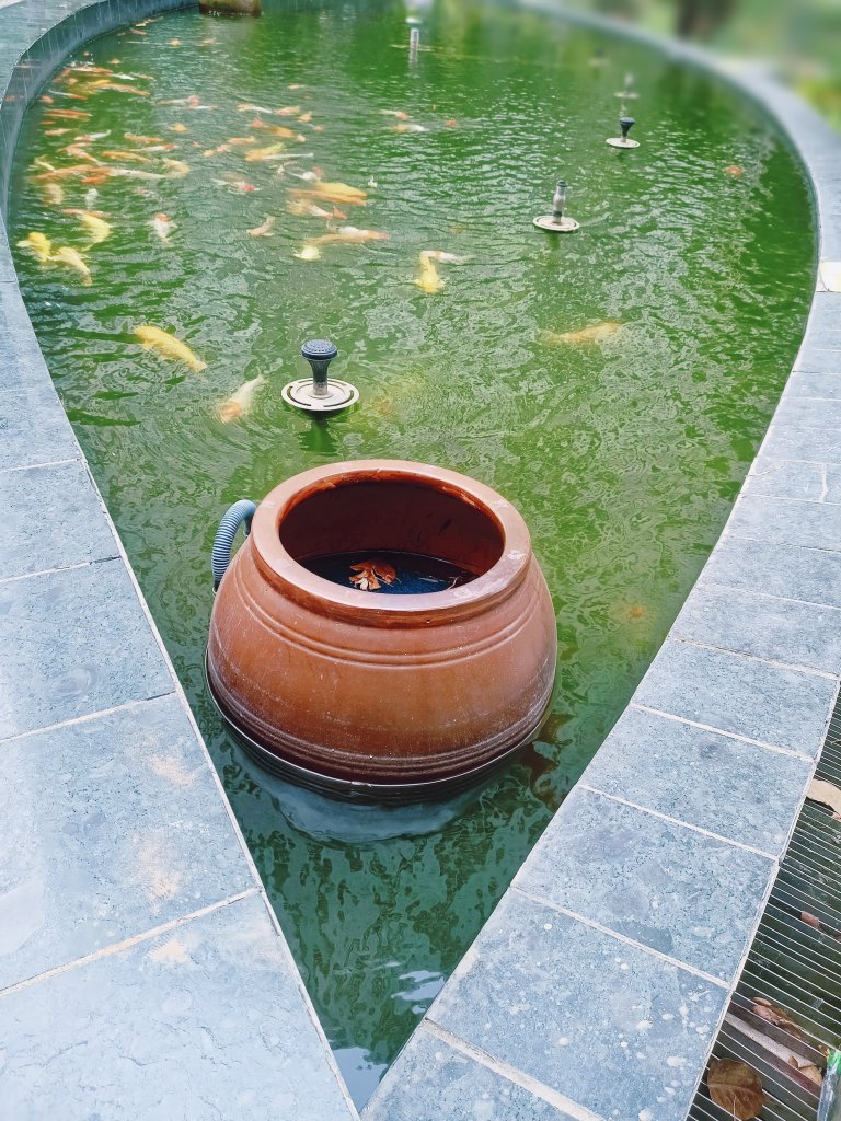 MEITU_20260416_160710802.jpg