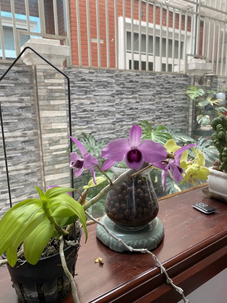 IMG_0071.jpeg