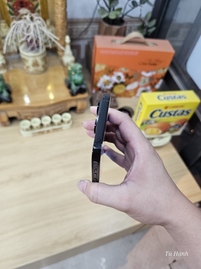 1000004029.jpg