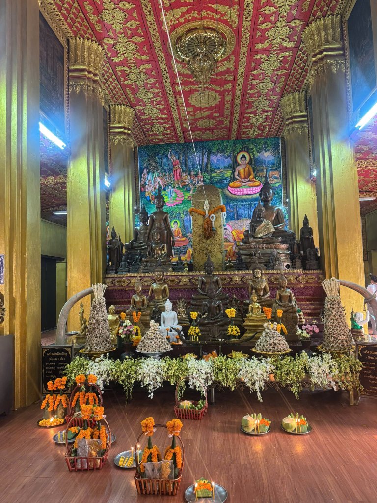 IMG_0371.jpeg