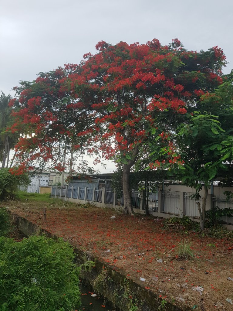 20230618_171454.jpg