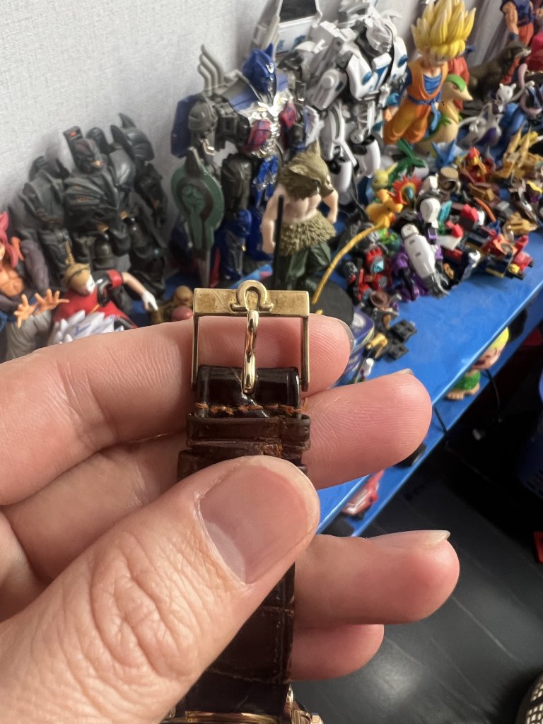 IMG_4962.jpeg