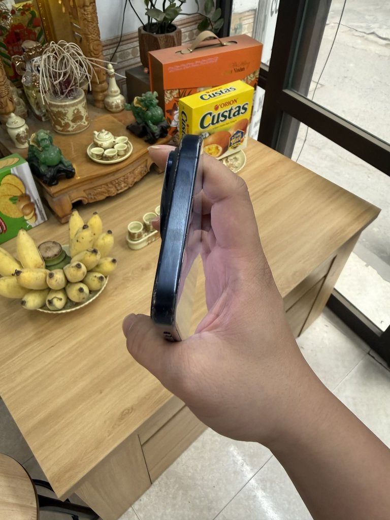 1000004081.jpg