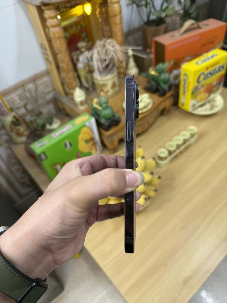 1000004113.jpg