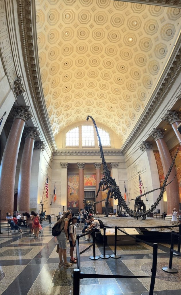 29-hall.jpg