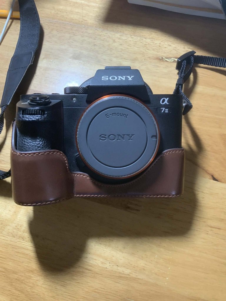 Sony body.jpg