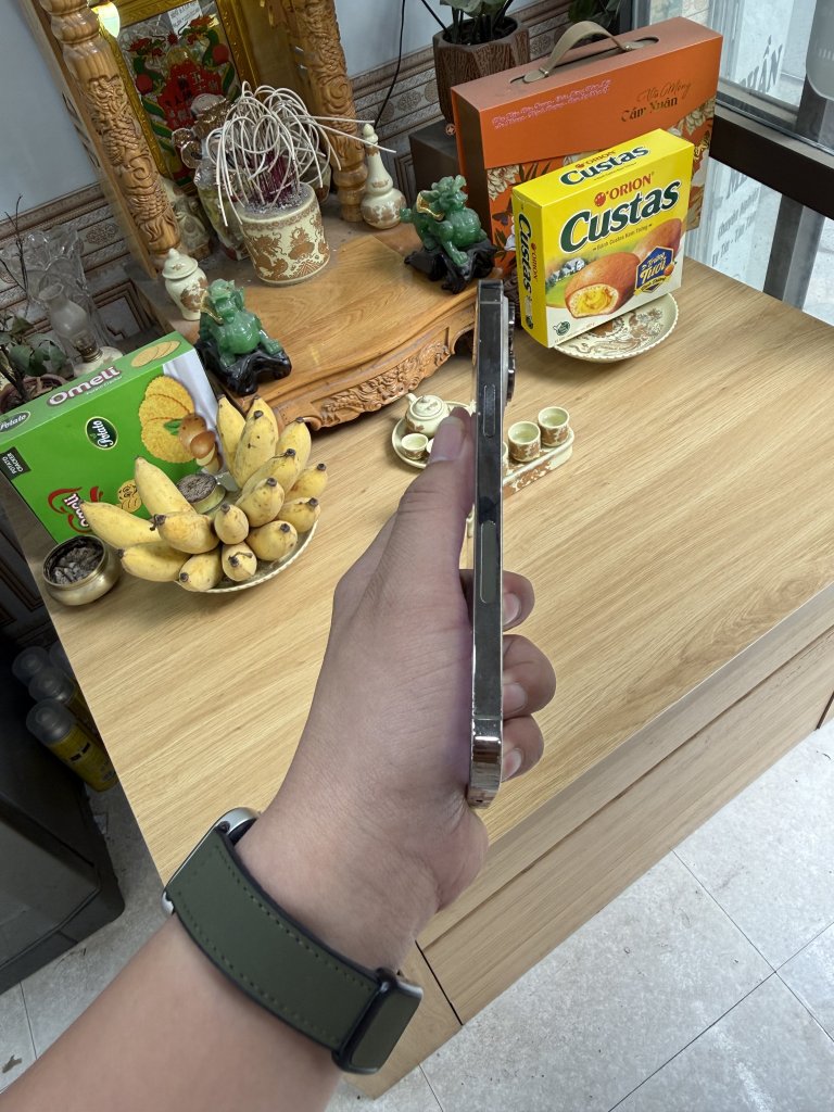 IMG_1794.jpeg