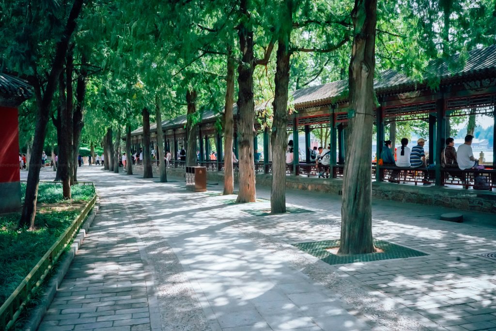 _ANH9014.JPG