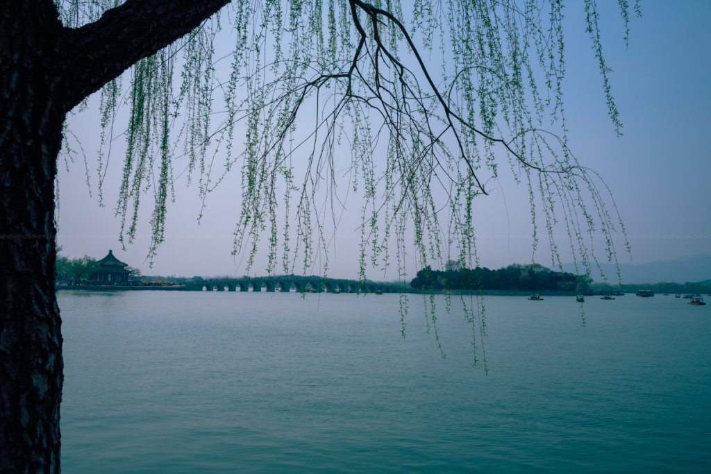 _ANH2126.JPG