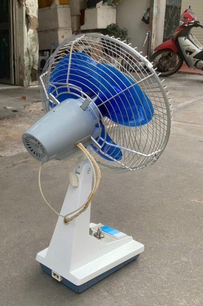 1000022549.jpg