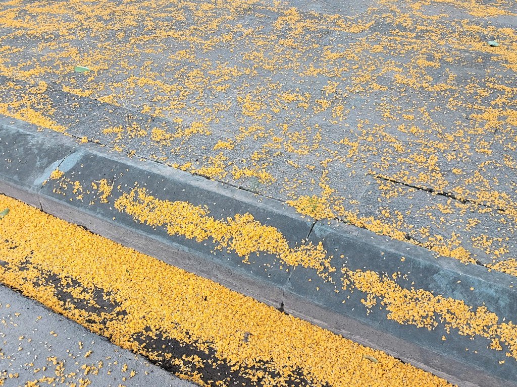 00ab0c170860893ed071.jpg