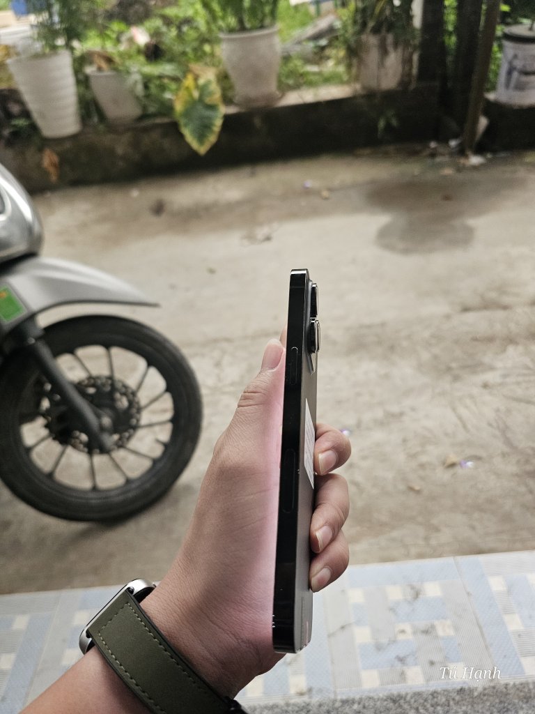 1000004097.jpg