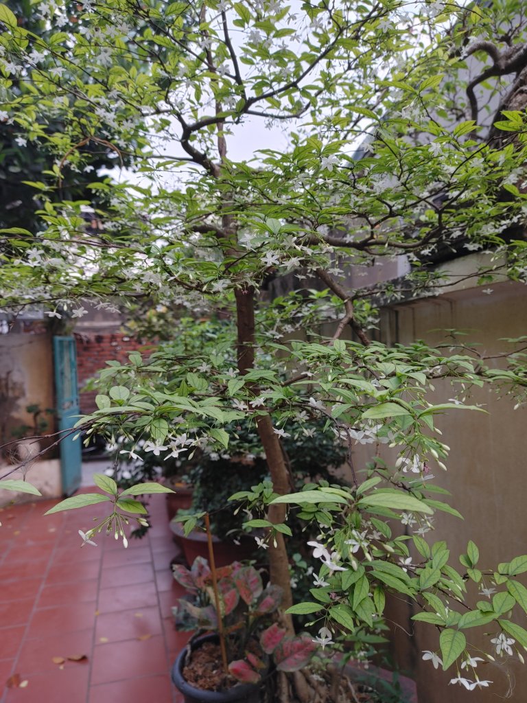 20230507_173343_HDR.jpg