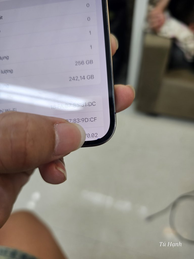 1000004168.jpg