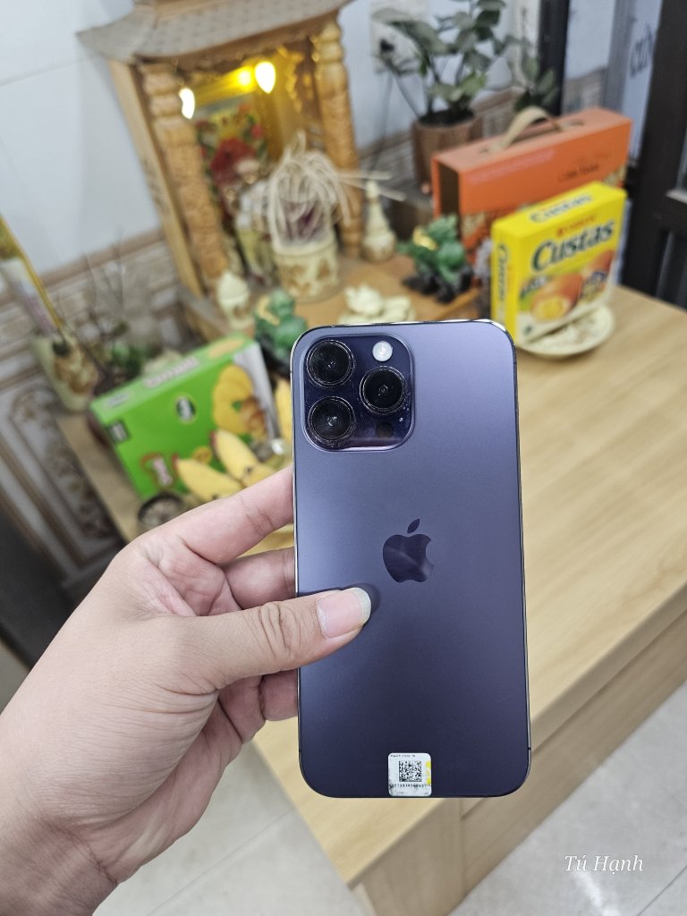 1000004163.jpg