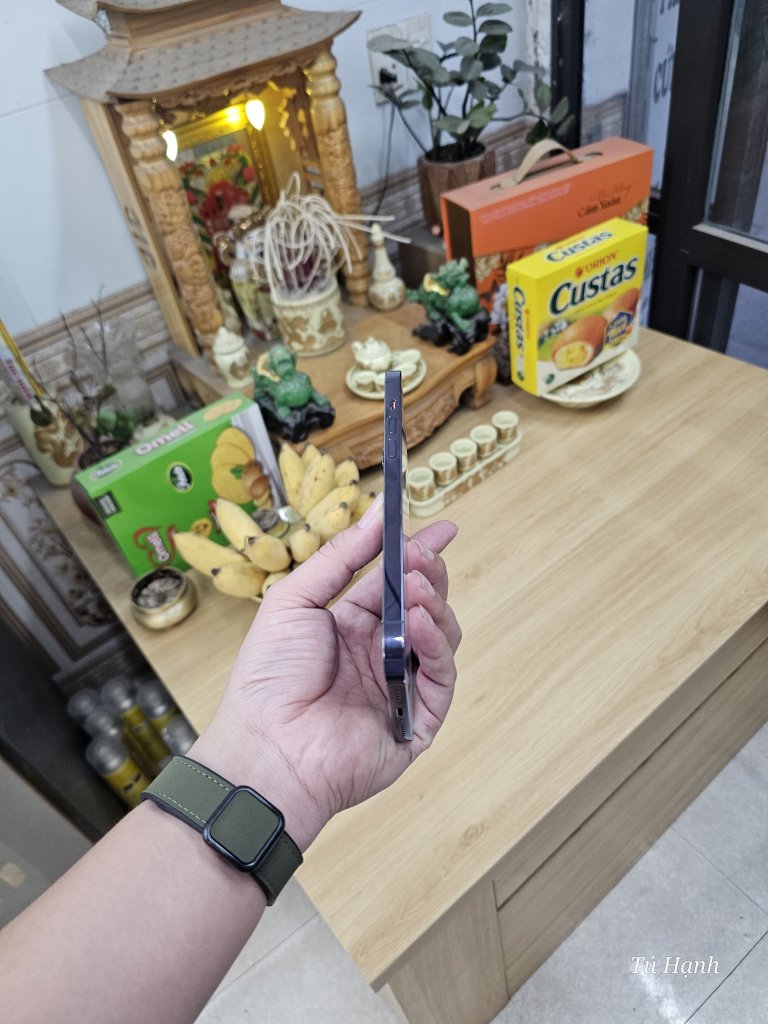 1000004164.jpg