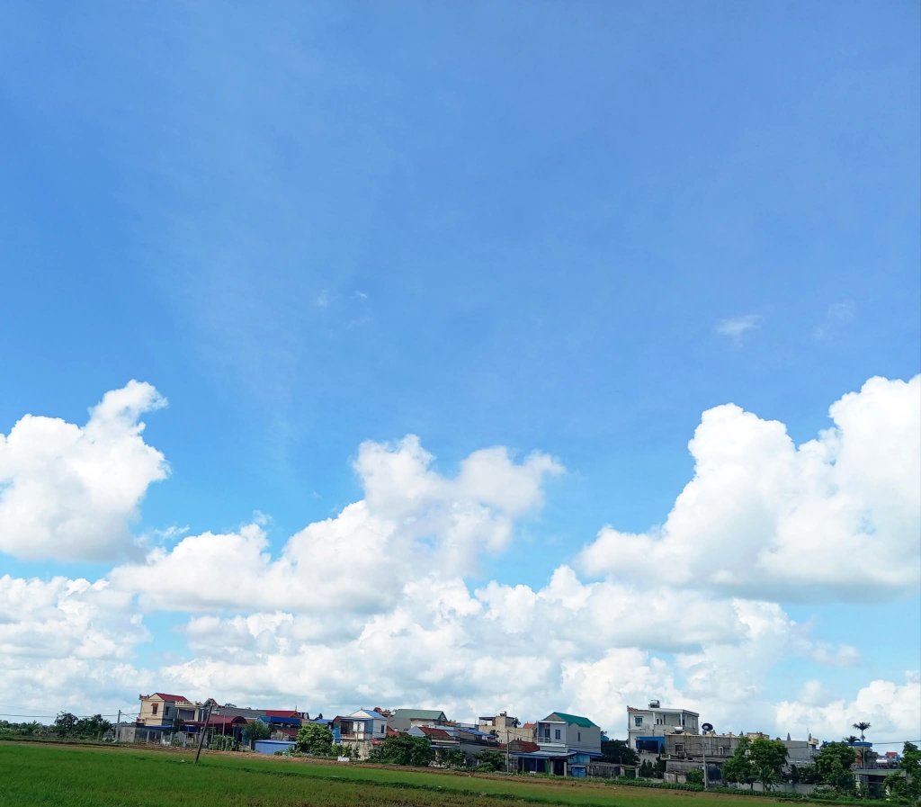 916.jpg
