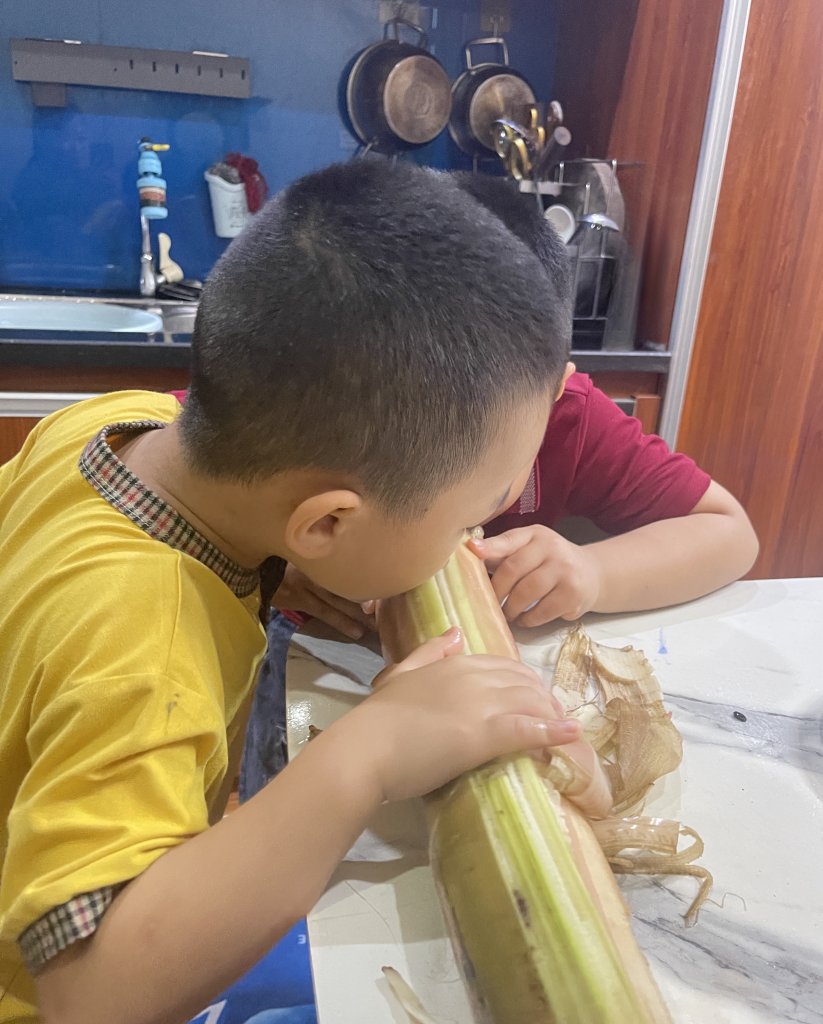 IMG_2069.jpeg