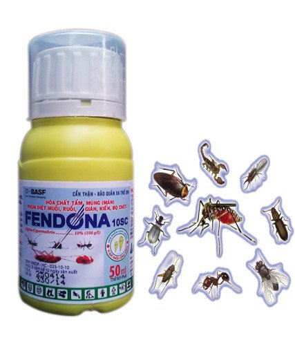 FENDONA10SC.jpg