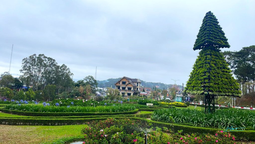 TVH's pic - TP Da Lat - 110226 (1).JPG
