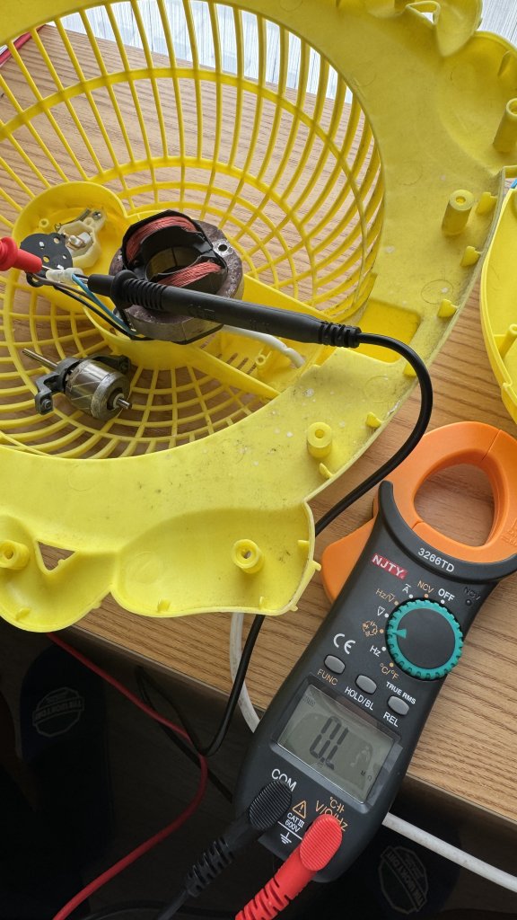 IMG_3861.jpeg