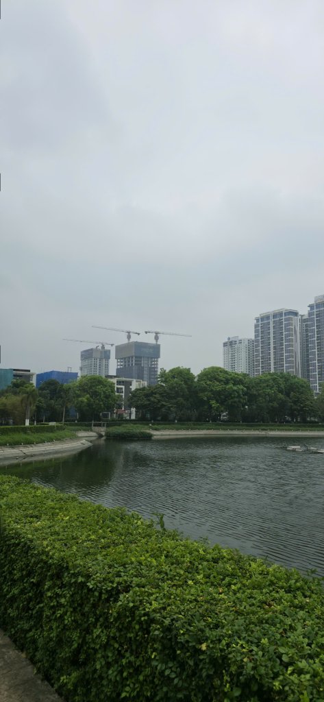 z7758897324976_cbcd9918c2d2c77b608a367ecc7e47ae.jpg