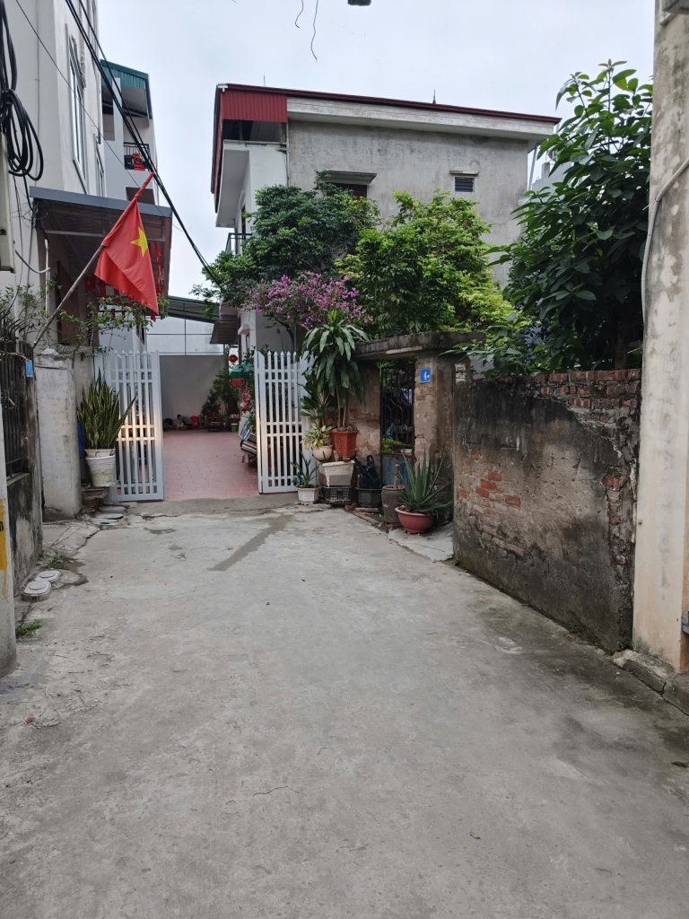 IMG_3546.jpeg