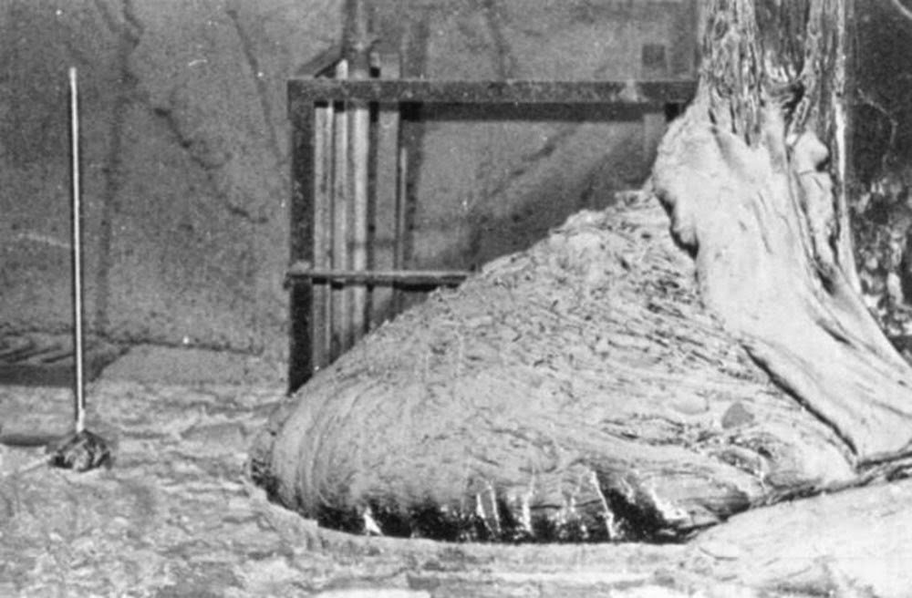 Chernobyl 1986_4 (11).jpg
